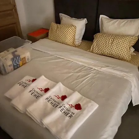 公寓 Croisette Palais Festival 5 Minutes , 170 M2 Moderne Spacious